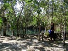 Car Wash Cenote