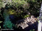 Gran Cenote