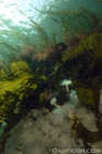 In the Shallows