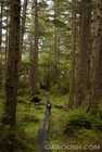 Tow Hill Path