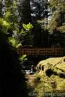 Bridge Over Creek at Naikoon Park