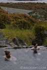 Hot Springs on Hot Springs Island