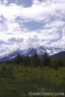 North Country View near Prince Rupert