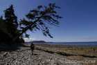 Gray Bay
