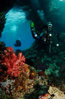 Gunard in Blue Hole