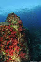 Richelieu Rock