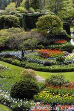 Highlight for Album: Victoria, BC - April 2007
