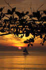 Bali Sunrise