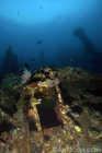 Liberty Wreck at Tulamben