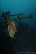 Liberty Wreck